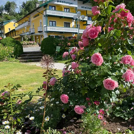 Seehotel Steiner